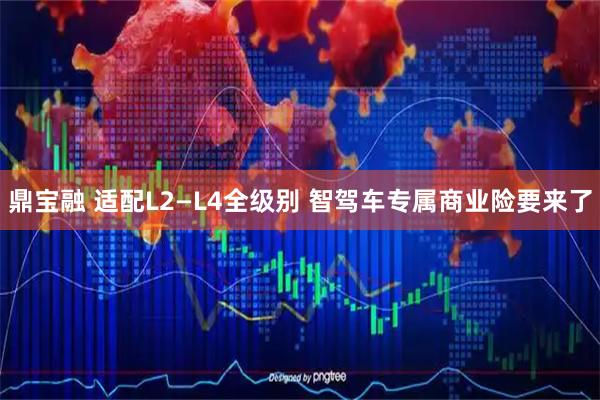 鼎宝融 适配L2—L4全级别 智驾车专属商业险要来了